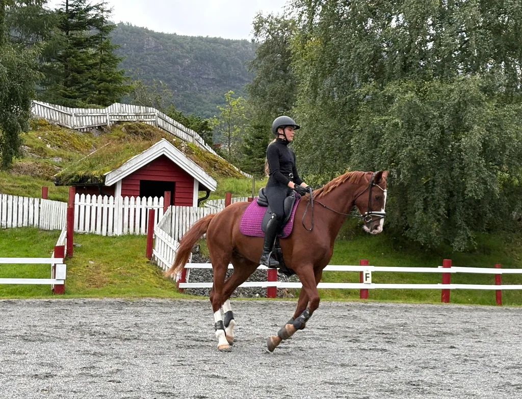 Someone was training the horse