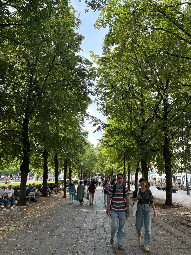 The shady walkway in the city center